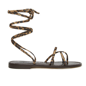 #animalier