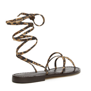 #animalier
