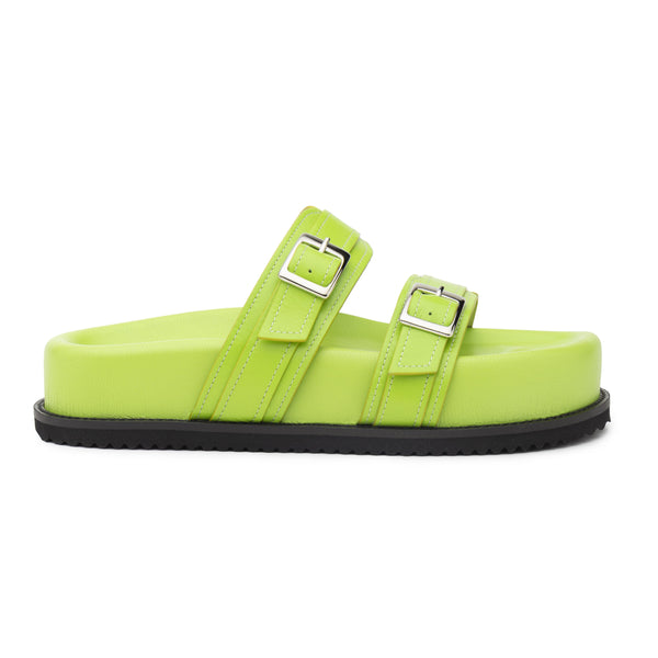 #lime